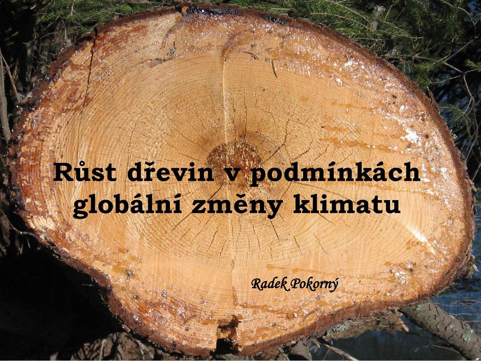 globální změny