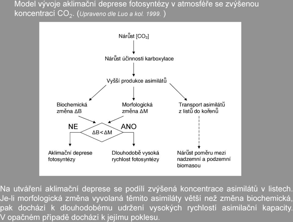 ) Na utváření aklimační deprese se podílí zvýšená koncentrace asimilátů v listech.