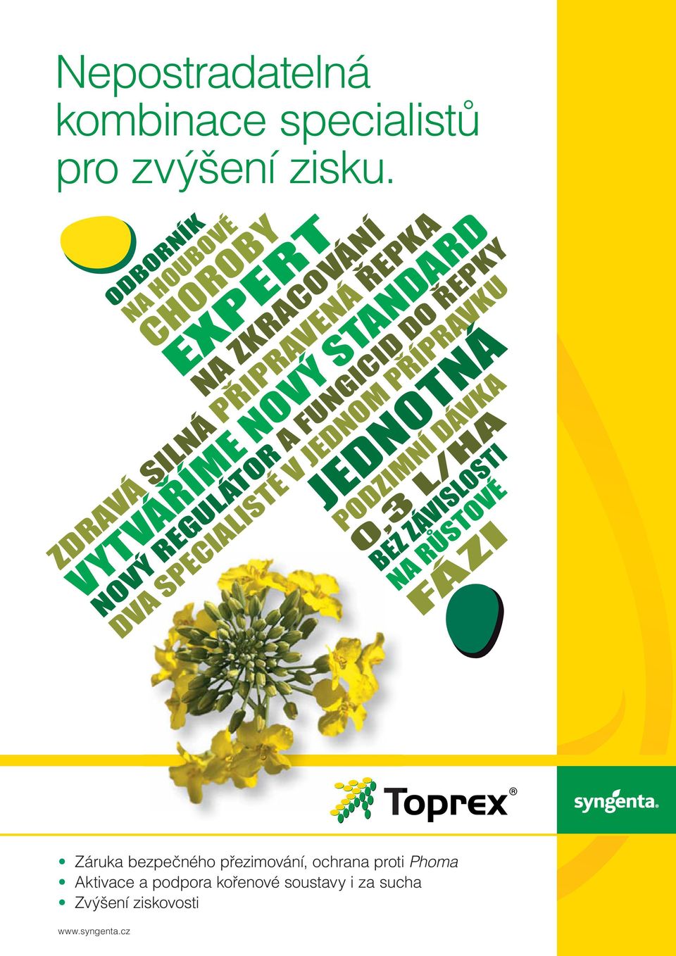 REGULÁTOR A FUNGICID DO ŘEPKY DVA SPECIALISTÉ V JEDNOM PŘÍPRAVKU JEDNOTNÁ PODZIMNÍ DÁVKA 0,3 L/HA BEZ