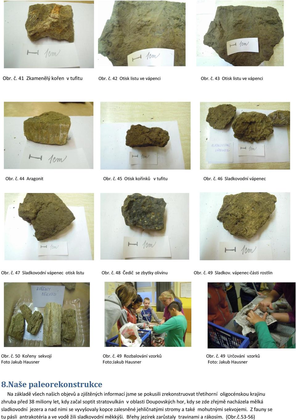 Naše paleorekonstrukce Na základě všech našich objevů a zjištěných informací jsme se pokusili zrekonstruovat třetihorní oligocénskou krajinu zhruba před 38 miliony let, kdy začal soptit stratovulkán