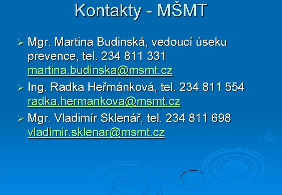 234 811 331 martina.budinska@msmt.cz Ing.