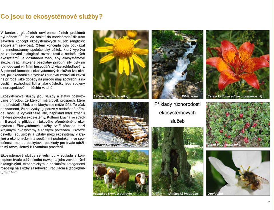 Cílem konceptu bylo poukázat na mnohostranný společenský užitek, který vyplývá ze zachování biologické rozmanitosti a nedotčených ekosystémů, a dosáhnout toho, aby ekosystémové služby, resp.