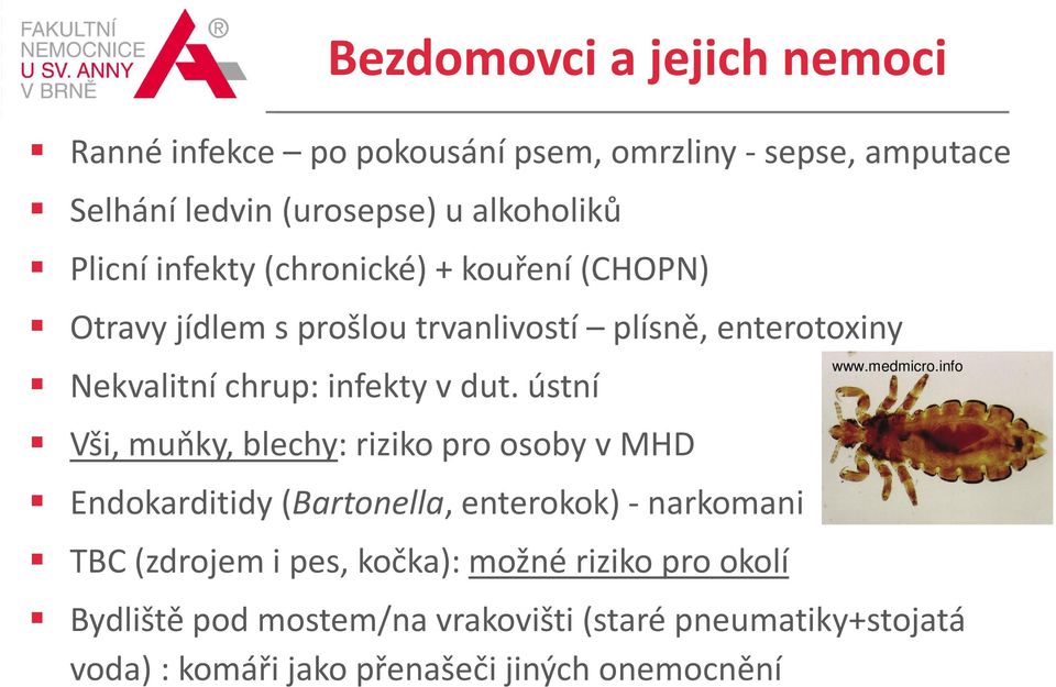 ústní Vši, muňky, blechy: riziko pro osoby v MHD Endokarditidy (Bartonella, enterokok) - narkomani TBC (zdrojem i pes, kočka): možné