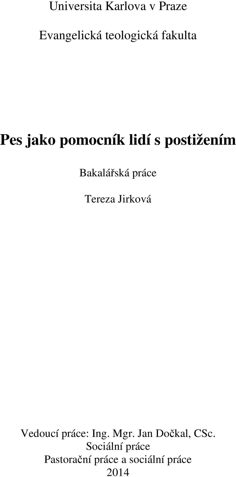 práce Tereza Jirková Vedoucí práce: Ing. Mgr.