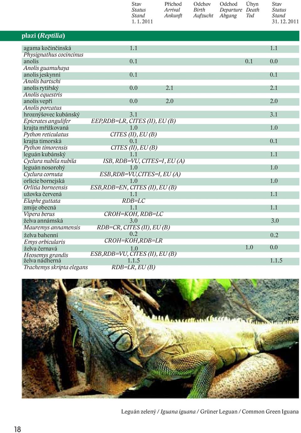 1 3.1 Epicrates angulifer krajta mřížkovaná EEP,RDB=LR, CITES (II), EU (B) 1.0 1.0 Python reticulatus CITES (II), EU (B) krajta timorská 0.1 0.1 Python timorensis leguán kubánský CITES (II), EU (B) 1.