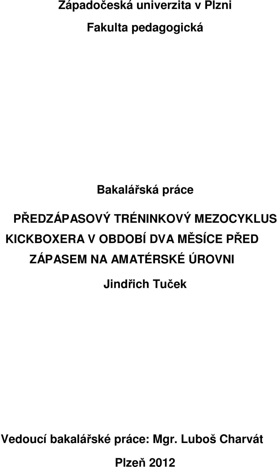 KICKBOXERA V OBDOBÍ DVA MĚSÍCE PŘED ZÁPASEM NA AMATÉRSKÉ