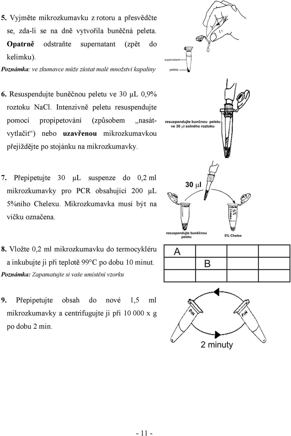 Intenzivně peletu resuspendujte pomocí propipetování (způsobem nasátvytlačit ) nebo uzavřenou mikrozkumavkou přejíždějte po stojánku na mikrozkumavky. 7.