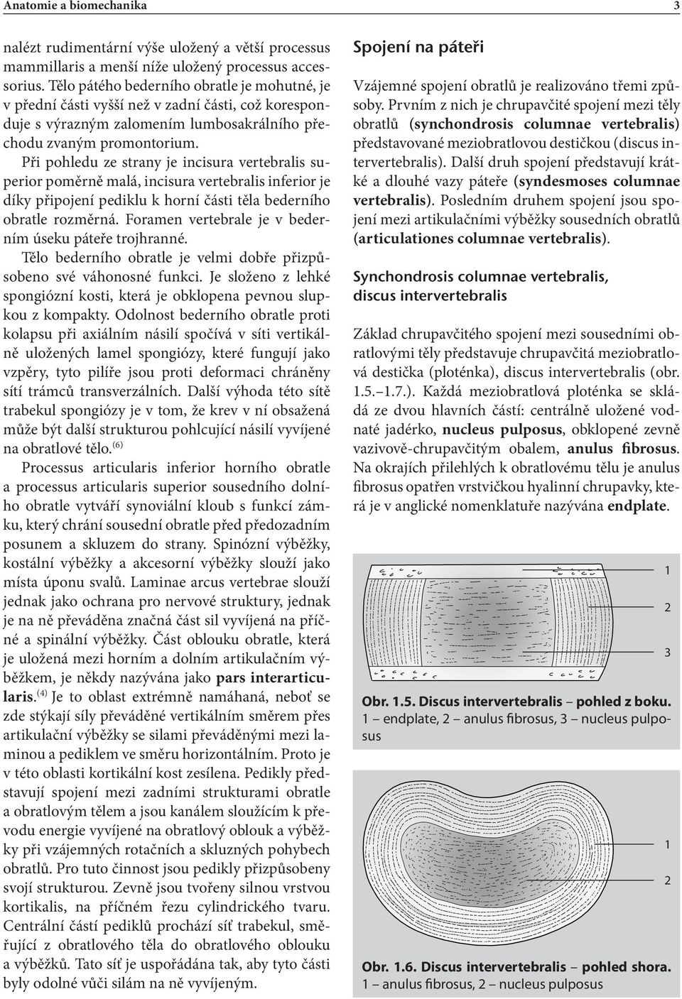 Při pohledu ze strany je incisura vertebralis superior poměrně malá, incisura vertebralis inferior je díky připojení pediklu k horní části těla bederního obratle rozměrná.