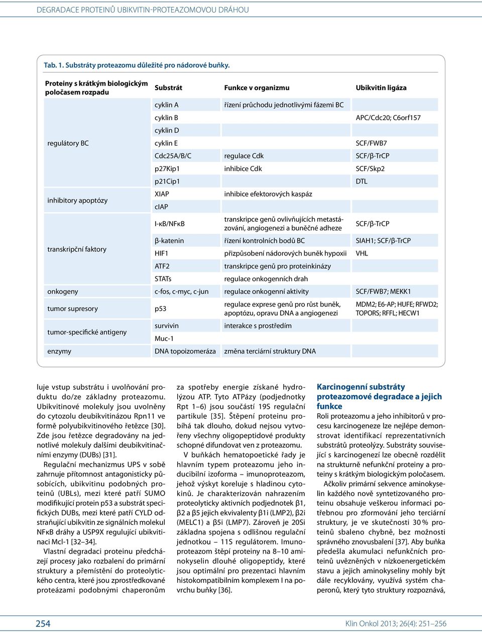 cyklin B cyklin D cyklin E APC/Cdc20; C6orf157 SCF/FWB7 Cdc25A/B/C regulace Cdk SCF/β-TrCP p27kip1 inhibice Cdk SCF/Skp2 p21cip1 XIAP inhibice efektorových kaspáz ciap I-κB/NFκB transkripce genů