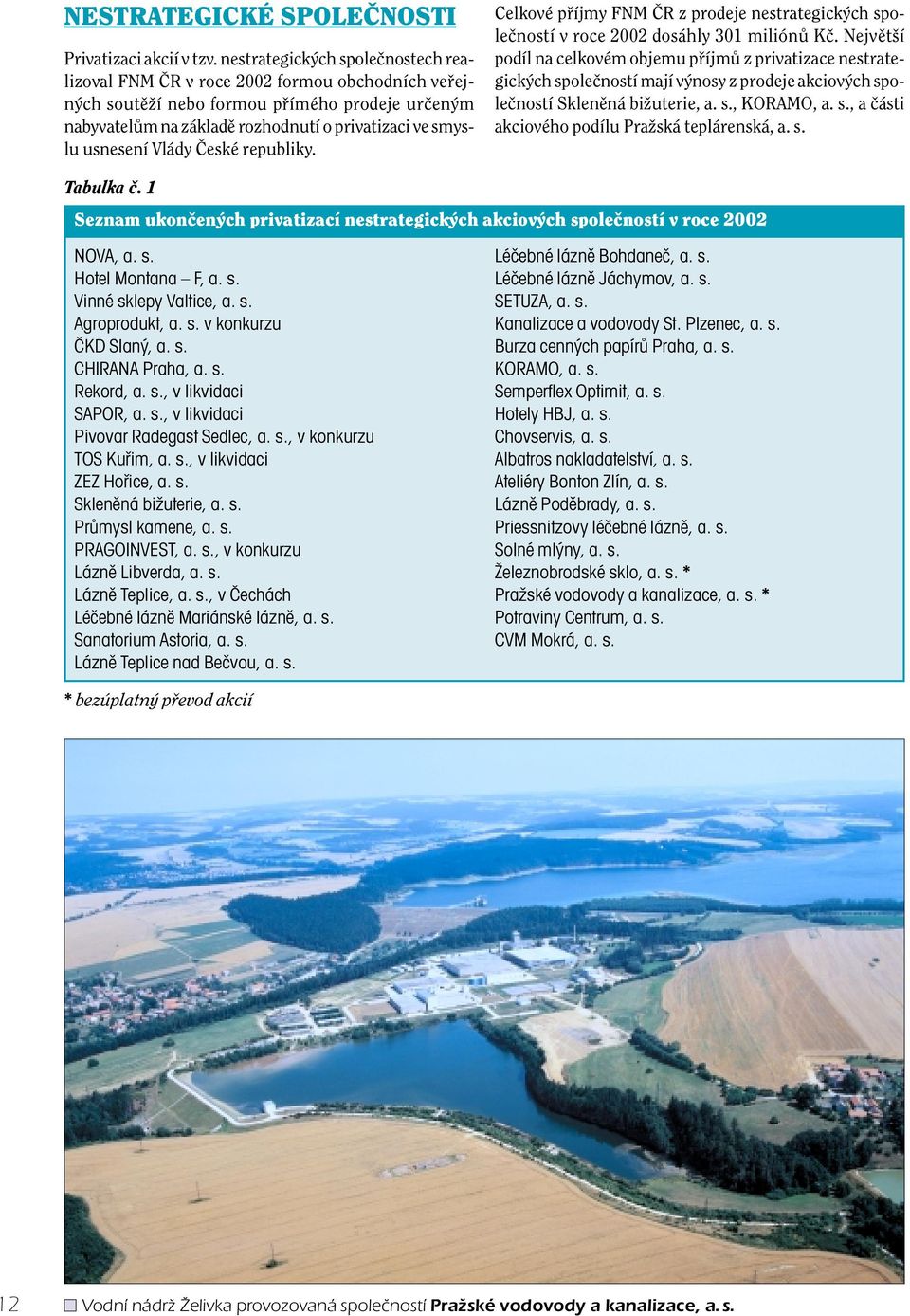 usnesení Vlády âeské republiky. Celkové pfiíjmy FNM âr z prodeje nestrategick ch spoleãností v roce 2002 dosáhly 301 miliónû Kã.