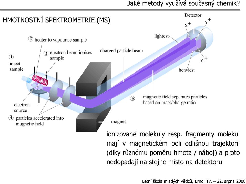 fragmenty molekul mají v magnetickém poli odlišnou