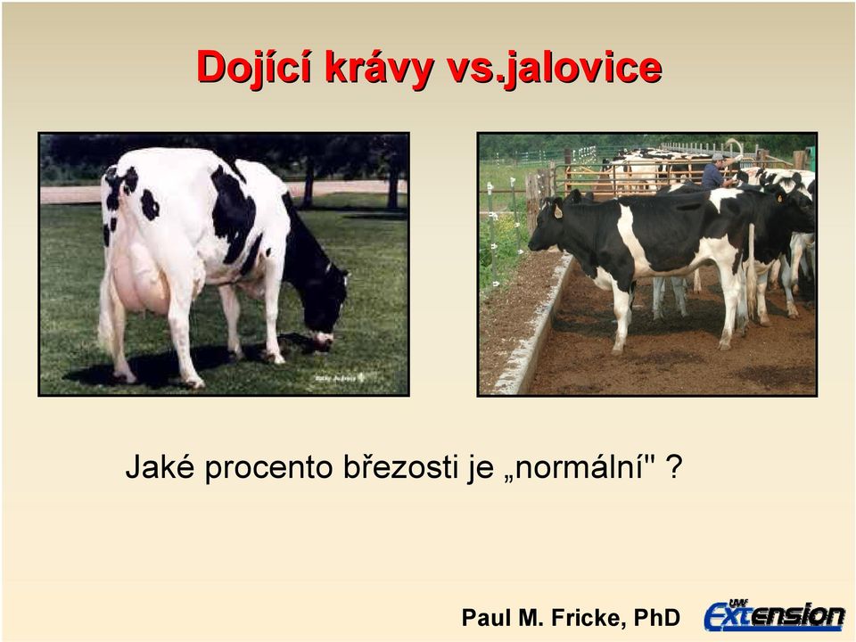 procento březosti je