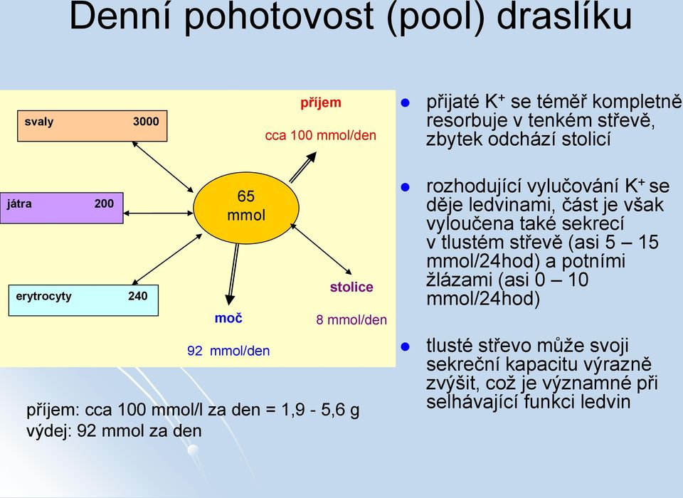 mmol za den rozhodující vylučování K + se děje ledvinami, část je však vyloučena také sekrecí v tlustém střevě (asi 5 15 mmol/24hod) a