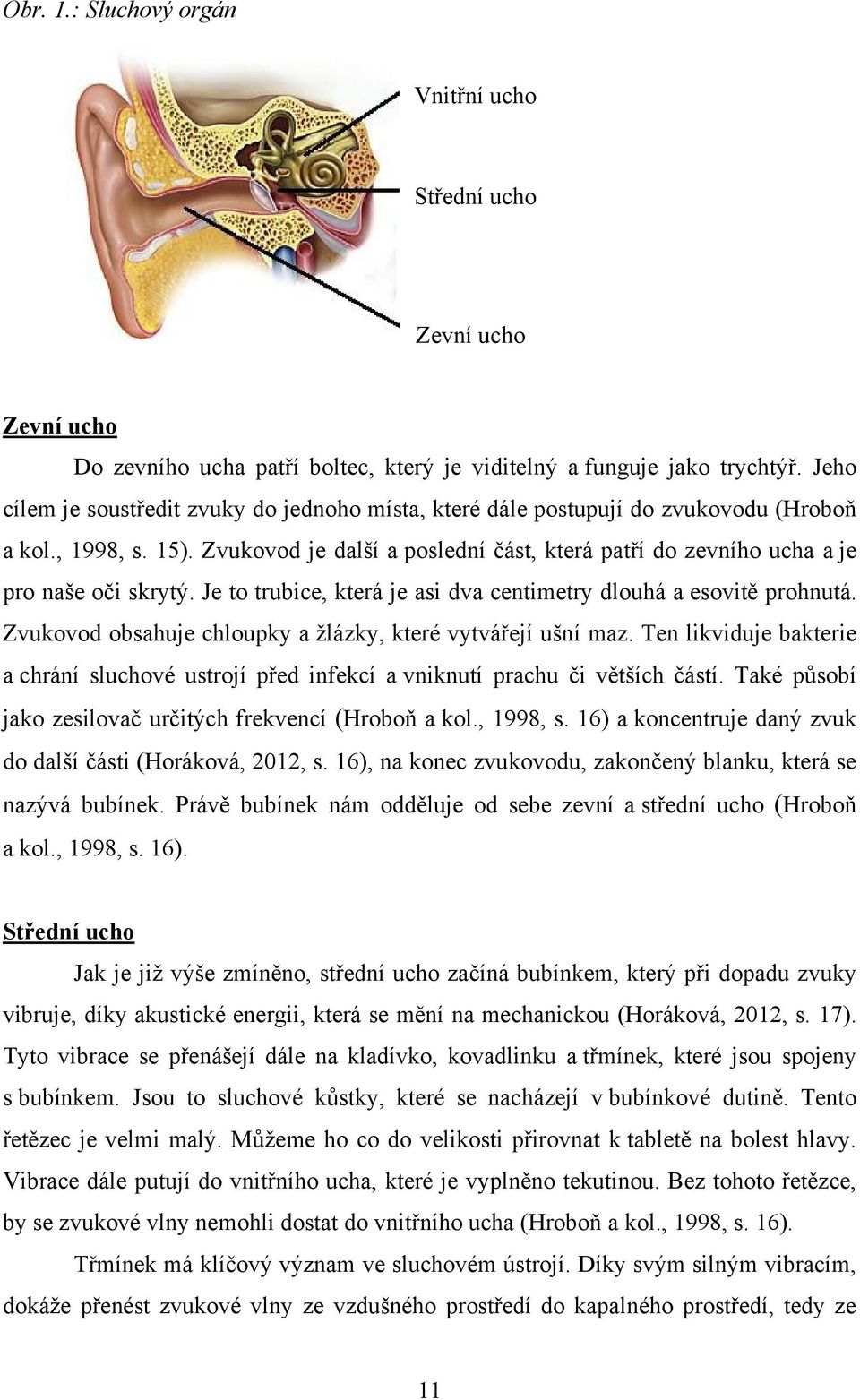 Zvukovod je další a poslední část, která patří do zevního ucha a je pro naše oči skrytý. Je to trubice, která je asi dva centimetry dlouhá a esovitě prohnutá.