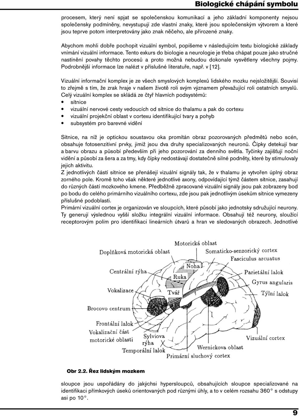 Abychom mohli dobře pochopit vizuální symbol, popíšeme v následujícím textu biologické základy vnímání vizuální informace.