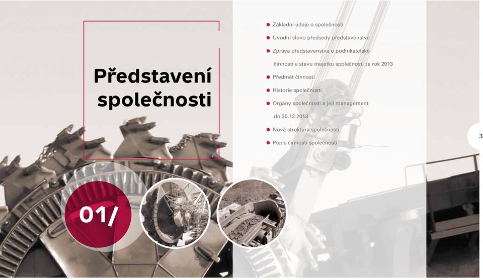 společnosti za rok 2013 Předmět činnosti Historie společnosti Orgány společnosti