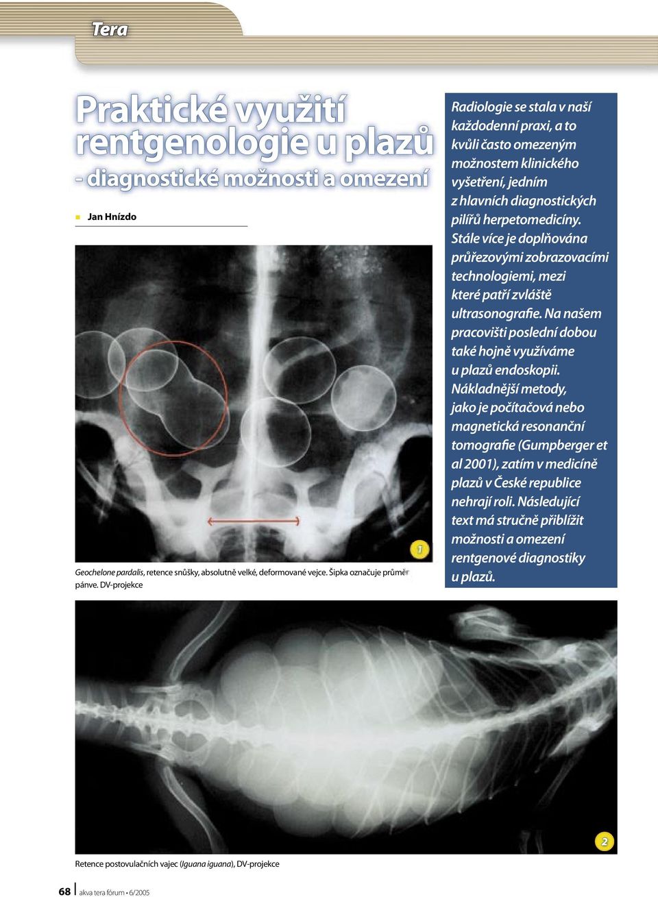 Stále více je doplňována průřezovými zobrazovacími technologiemi, mezi které patří zvláště ultrasonografie. Na našem pracovišti poslední dobou také hojně využíváme u plazů endoskopii.