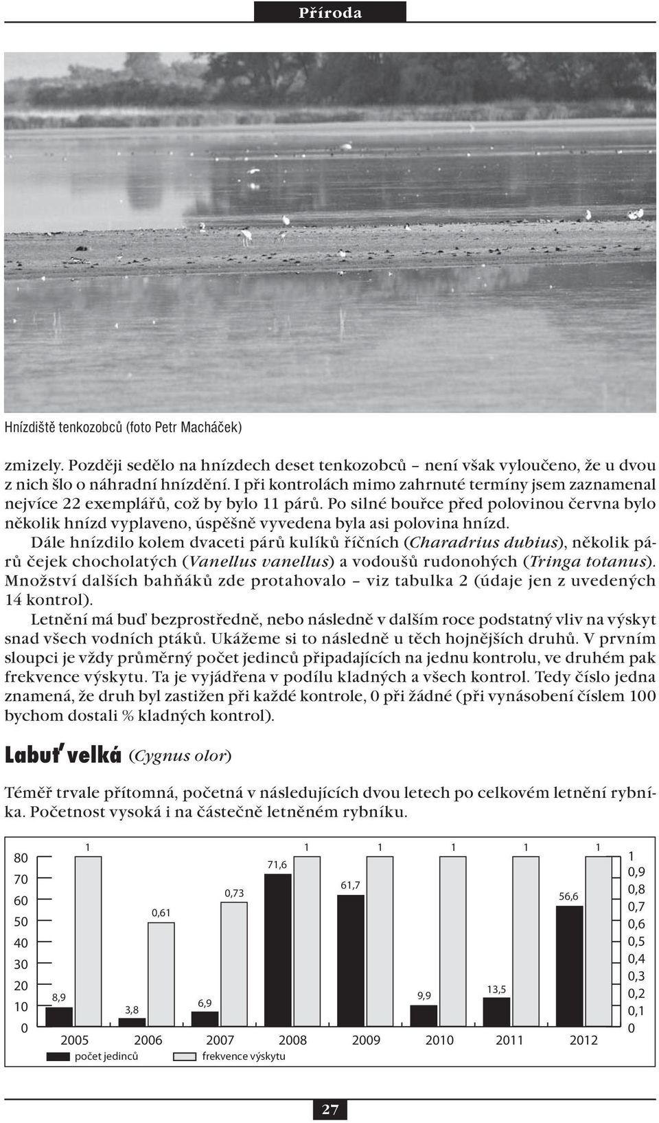 Po silné bouřce před polovinou června bylo několik hnízd vyplaveno, úspěšně vyvedena byla asi polovina hnízd.