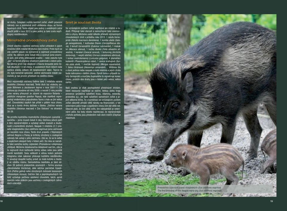 Mimořádné prvoodchovy zvířat Zmínit všechny úspěšné odchovy zvířat vzhledem k jejich množství (606 mláďat 99 druhů) není možné.