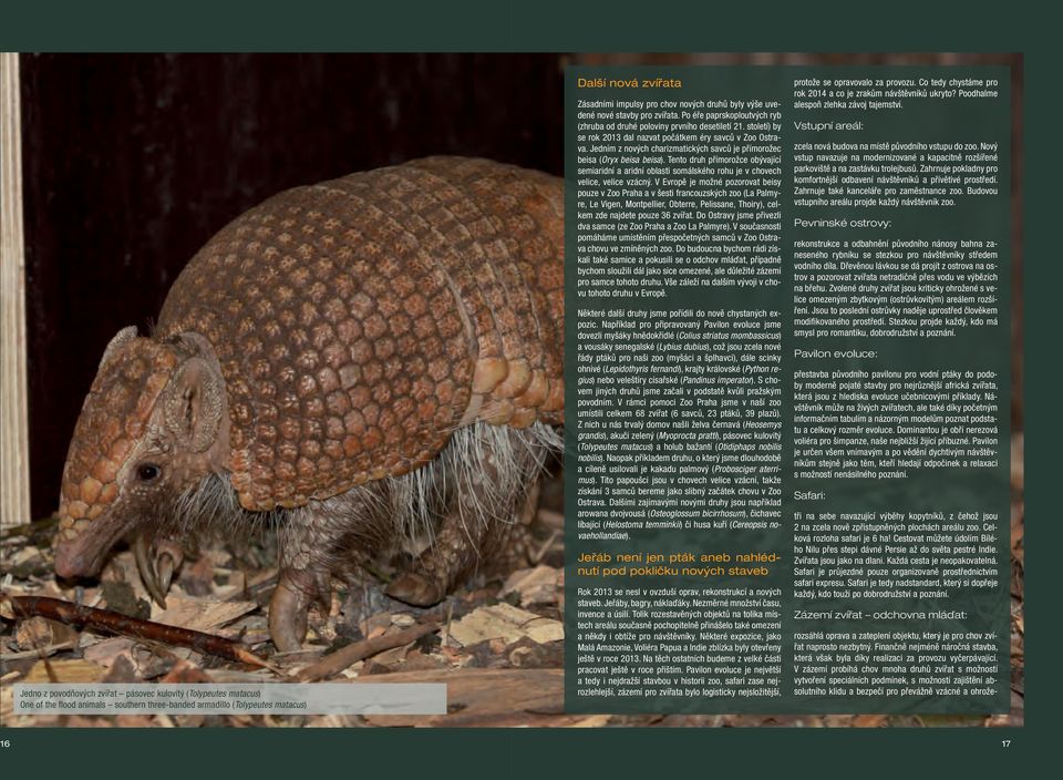 Jedním z nových charizmatických savců je přímorožec beisa (Oryx beisa beisa). Tento druh přímorožce obývající semiaridní a aridní oblasti somálského rohu je v chovech velice, velice vzácný.