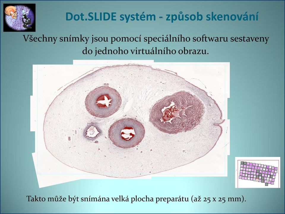 sestaveny do jednoho virtuálního obrazu.