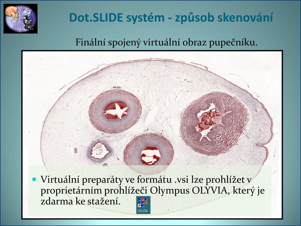 Virtuální preparáty ve formátu.