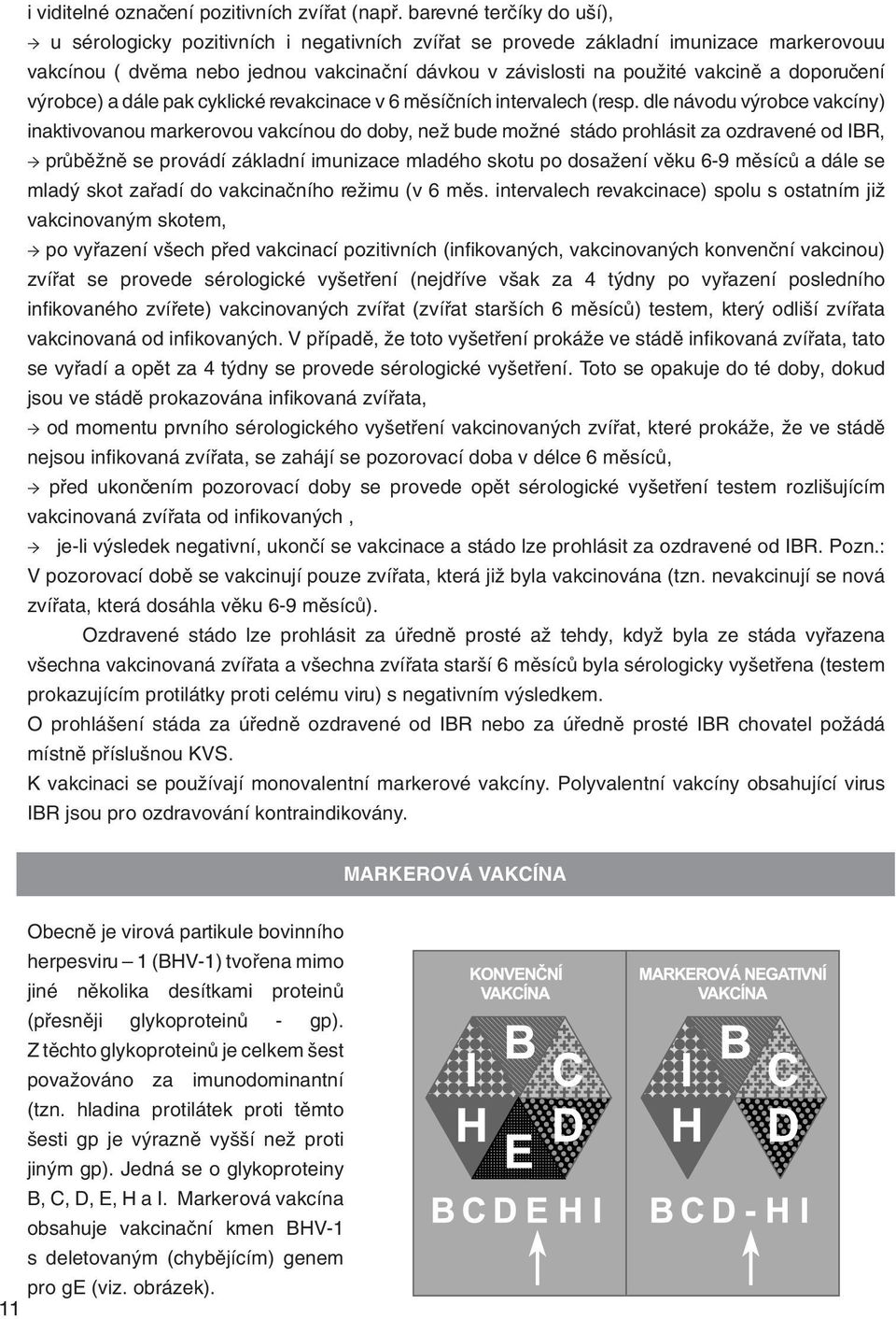 doporučení výrobce) a dále pak cyklické revakcinace v 6 měsíčních intervalech (resp.