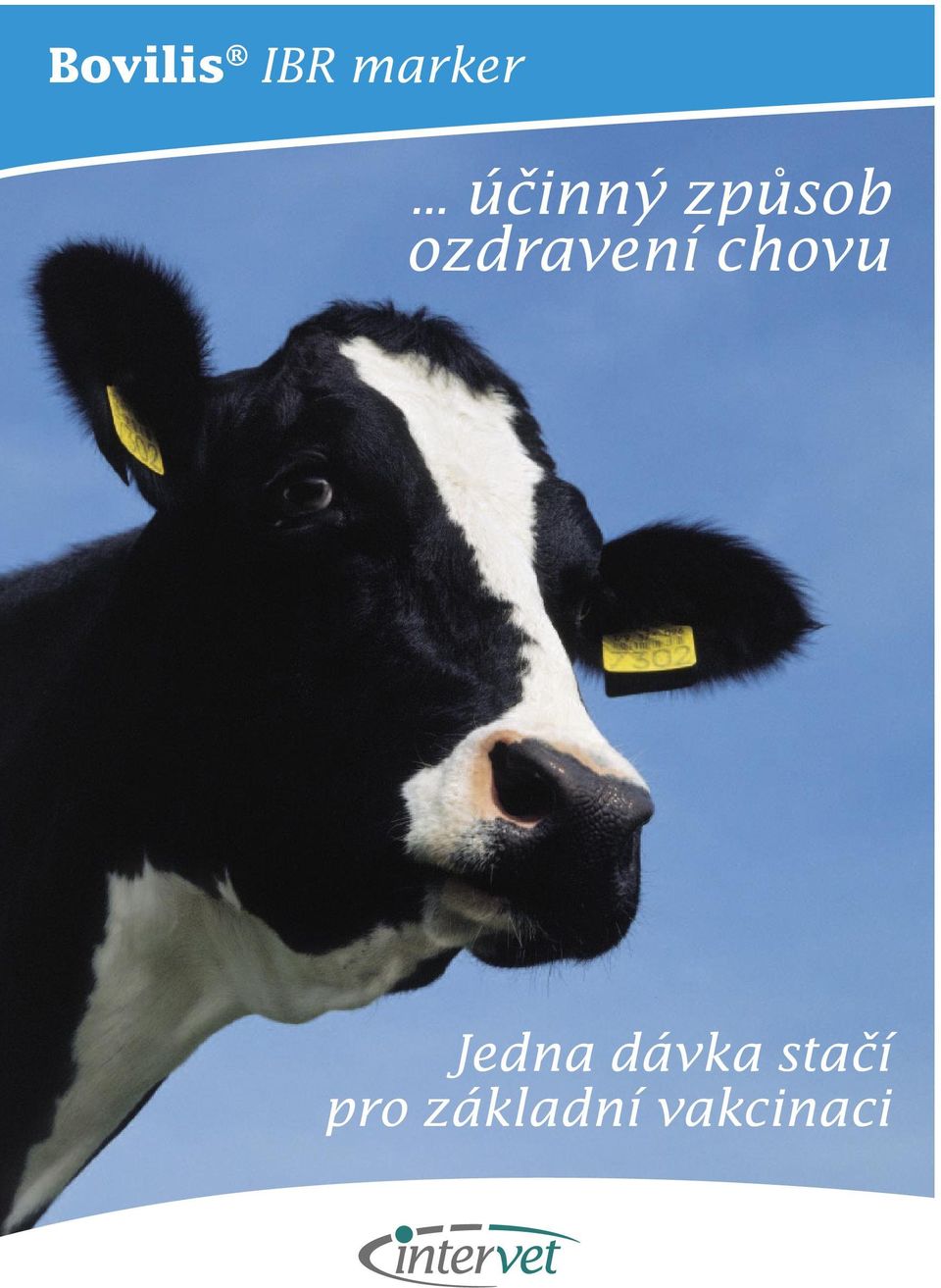 ozdravení chovu Jedna