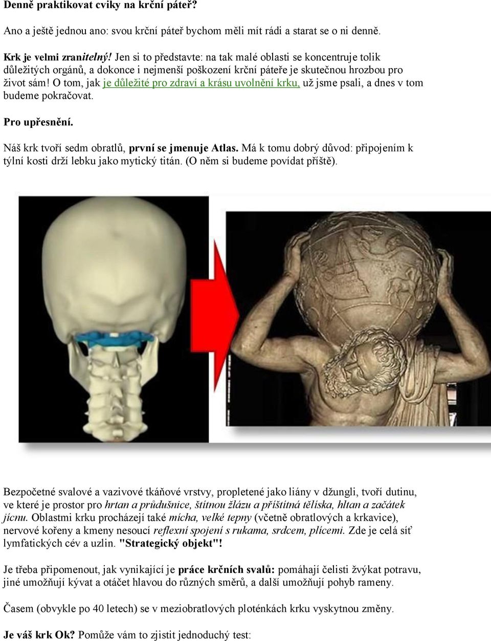 O tom, jak je důležité pro zdraví a krásu uvolnění krku, už jsme psali, a dnes v tom budeme pokračovat. Pro upřesnění. Náš krk tvoří sedm obratlů, první se jmenuje Atlas.