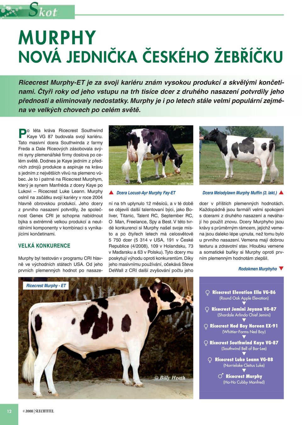 Murphy je i po letech stále velmi populární zejména ve velkých chovech po celém světě. Po léta kráva Ricecrest Southwind Kaye VG 87 budovala svojí kariéru.