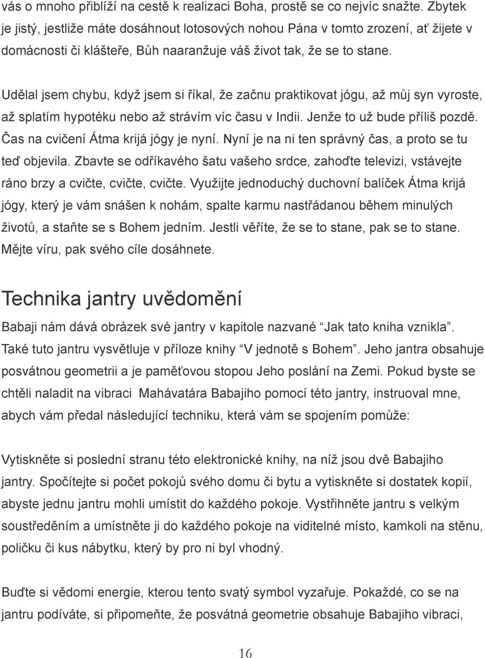 Udělal jsem chybu, když jsem si říkal, že začnu praktikovat jógu, až můj syn vyroste, až splatím hypotéku nebo až strávím víc času v Indii. Jenže to už bude příliš pozdě.