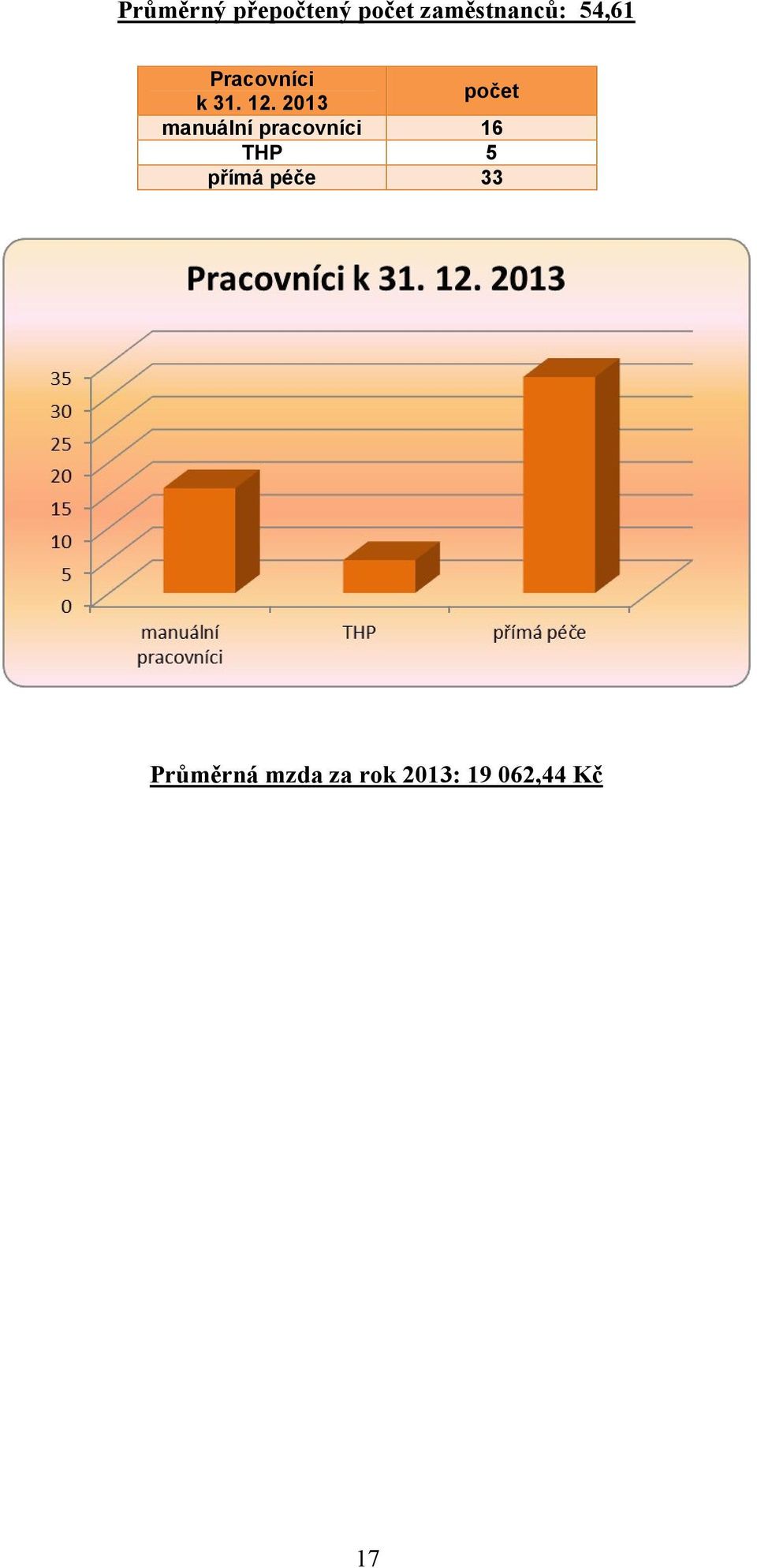 2013 manuální pracovníci THP přímá péče