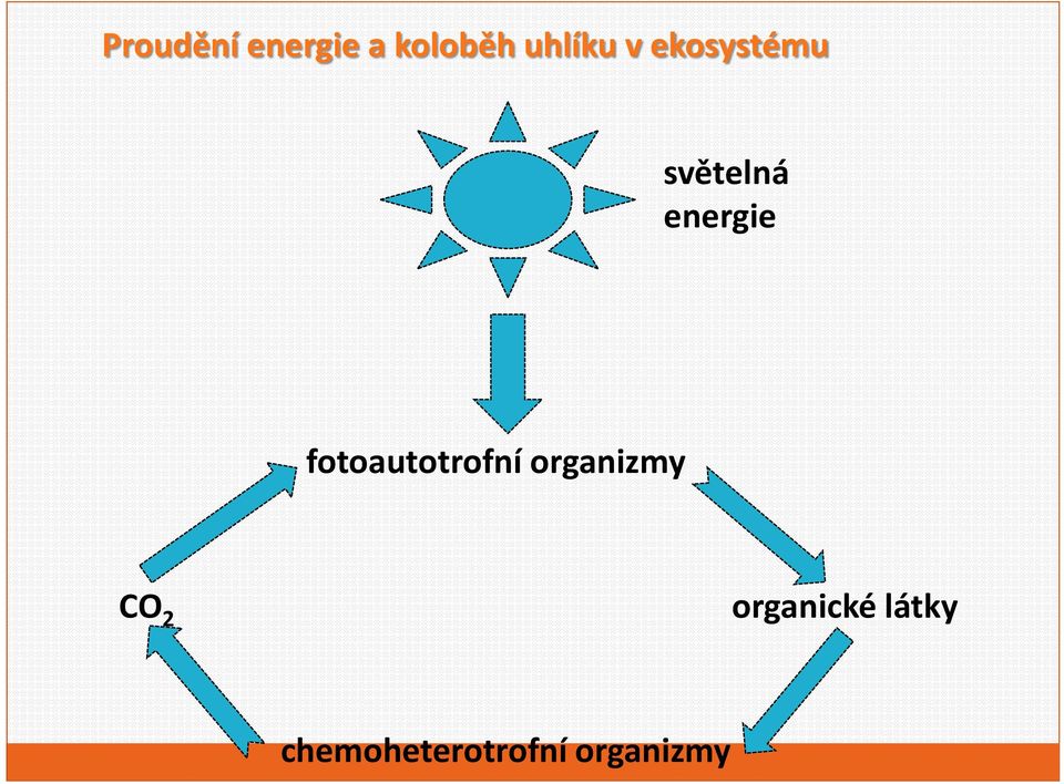 ftauttrfní rganizmy CO 2