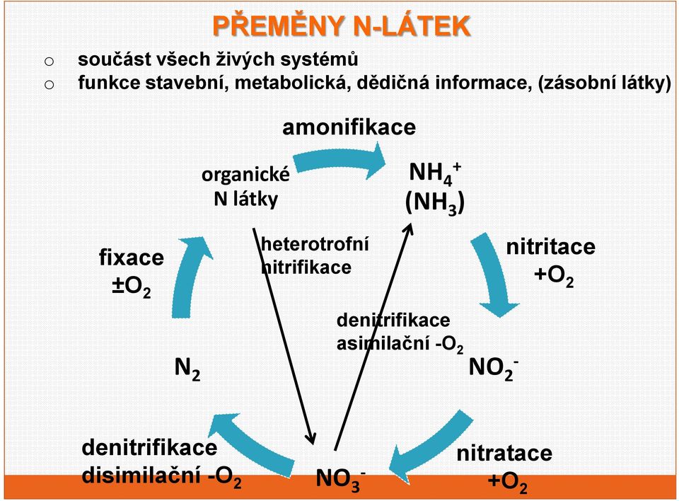 3 ) fixace ±O 2 N 2 hetertrfní nitrifikace denitrifikace asimilační O 2