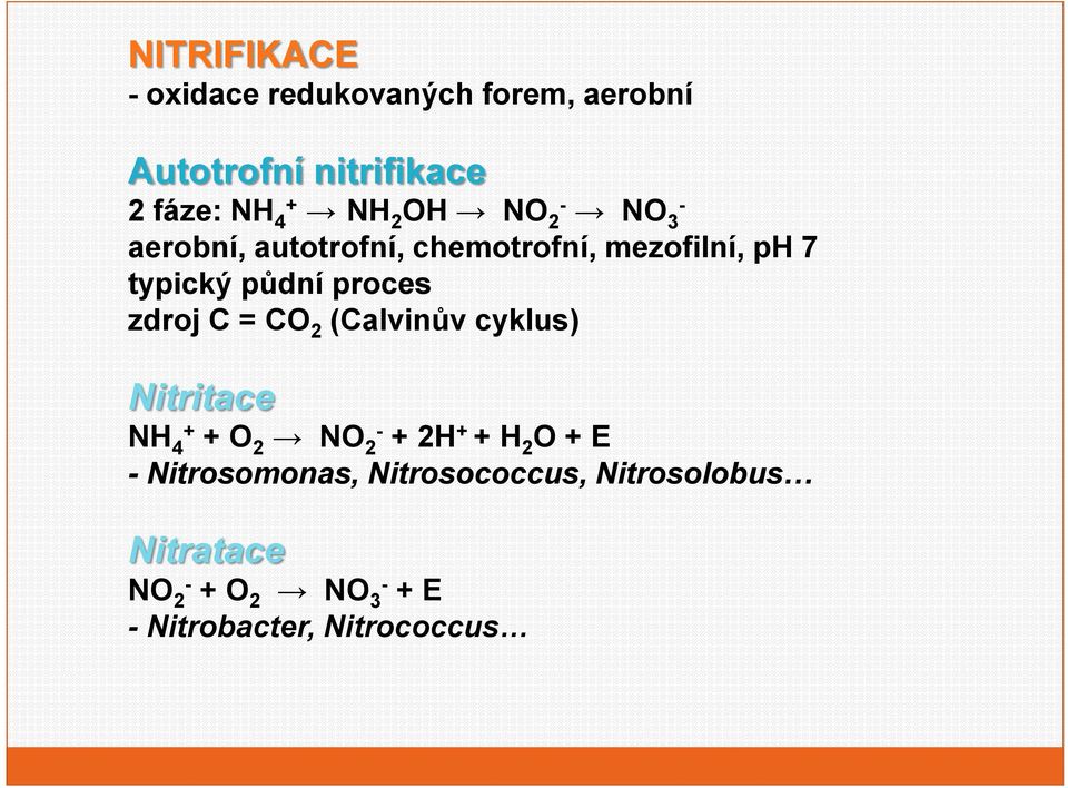 zdrj C = CO 2 (Calvinův cyklus) Nitritace NH 4 + + O 2 NO 2 + 2H + + H 2 O + E