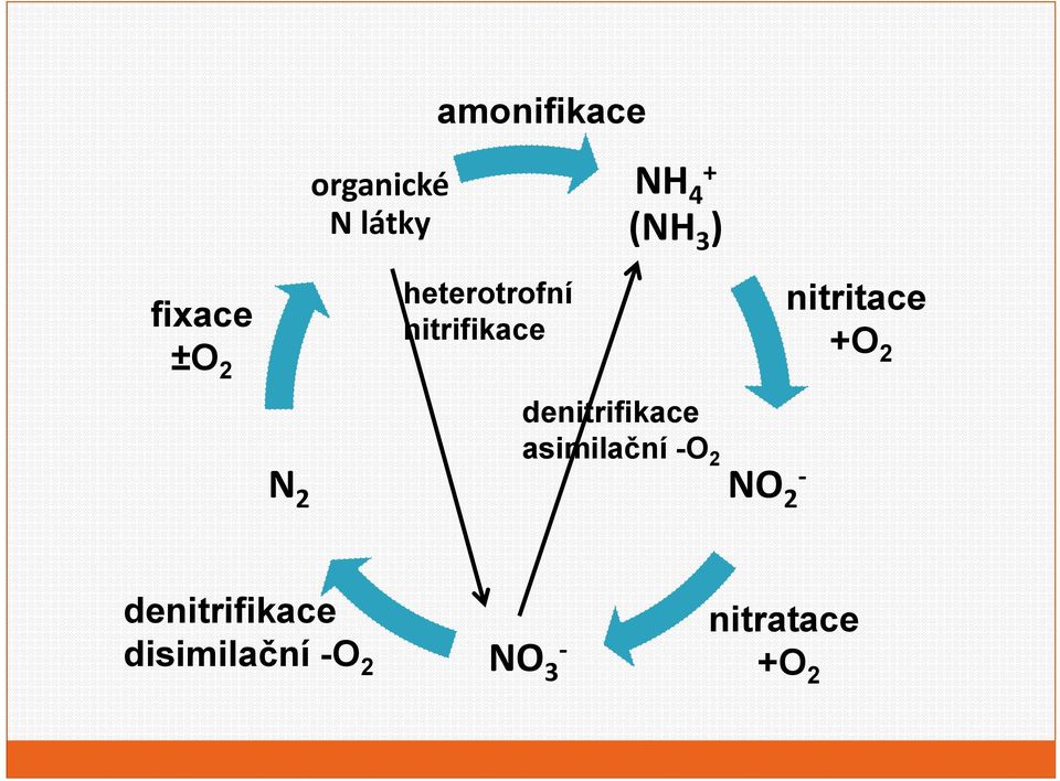 denitrifikace asimilační O 2 NO 2 nitritace