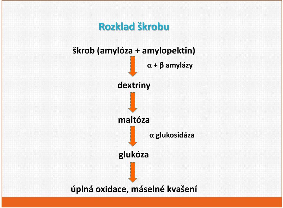 amylázy maltóza glukóza α