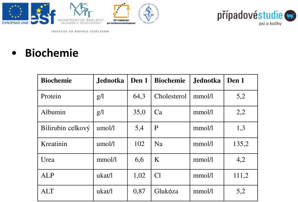 umol/l 5,4 P mmol/l 1,3 Kreatinin umol/l 102 Na mmol/l 135,2 Urea mmol/l 6,6