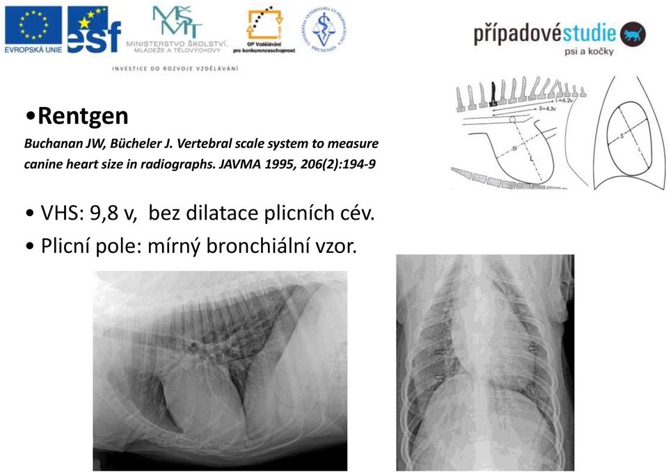 size in radiographs.