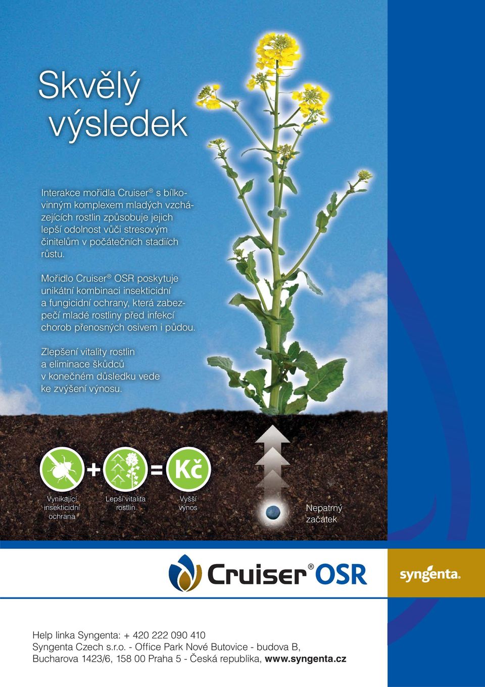 Mořidlo Cruiser OSR poskytuje unikátní kombinaci insekticidní a fungicidní ochrany, která zabezpečí mladé rostliny před infekcí chorob přenosných osivem i půdou.