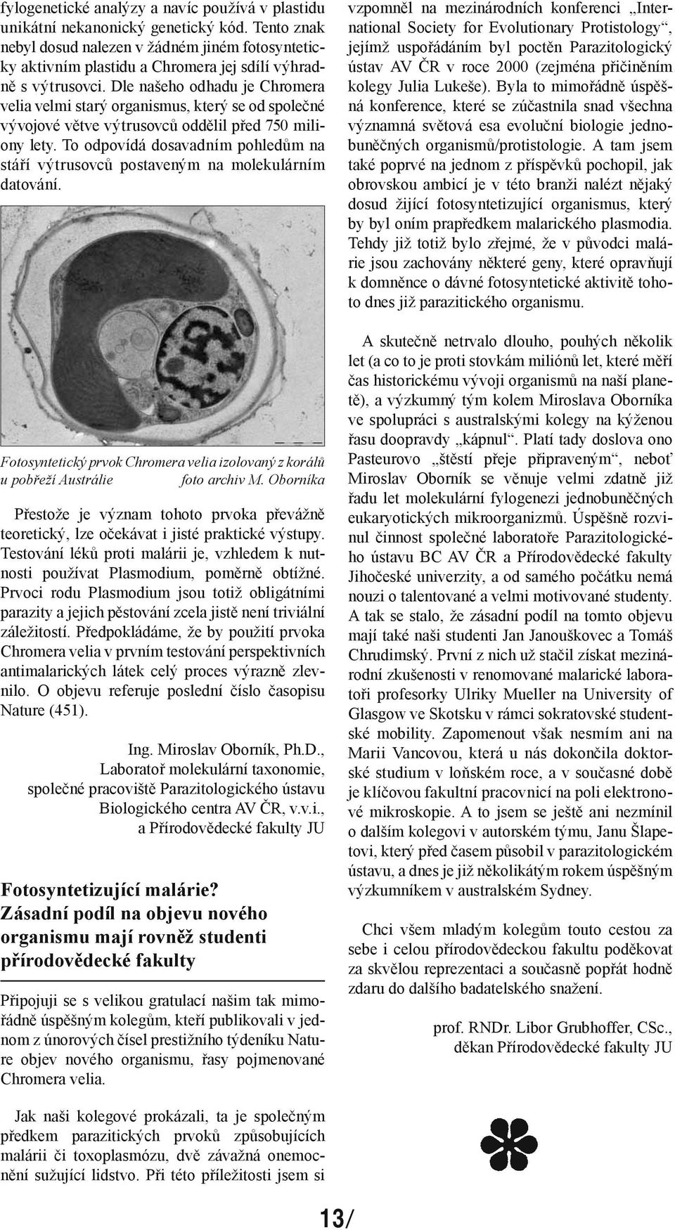 Dle našeho odhadu je Chromera velia velmi starý organismus, který se od společné vývojové větve výtrusovců oddělil před 750 miliony lety.