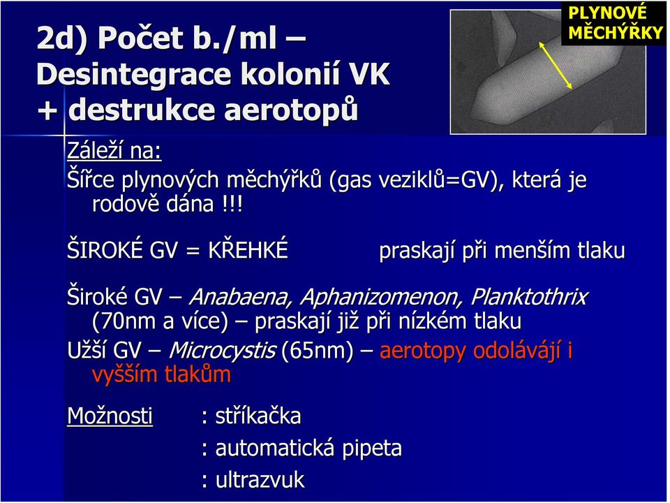 veziklů=gv), která je rodově dána!