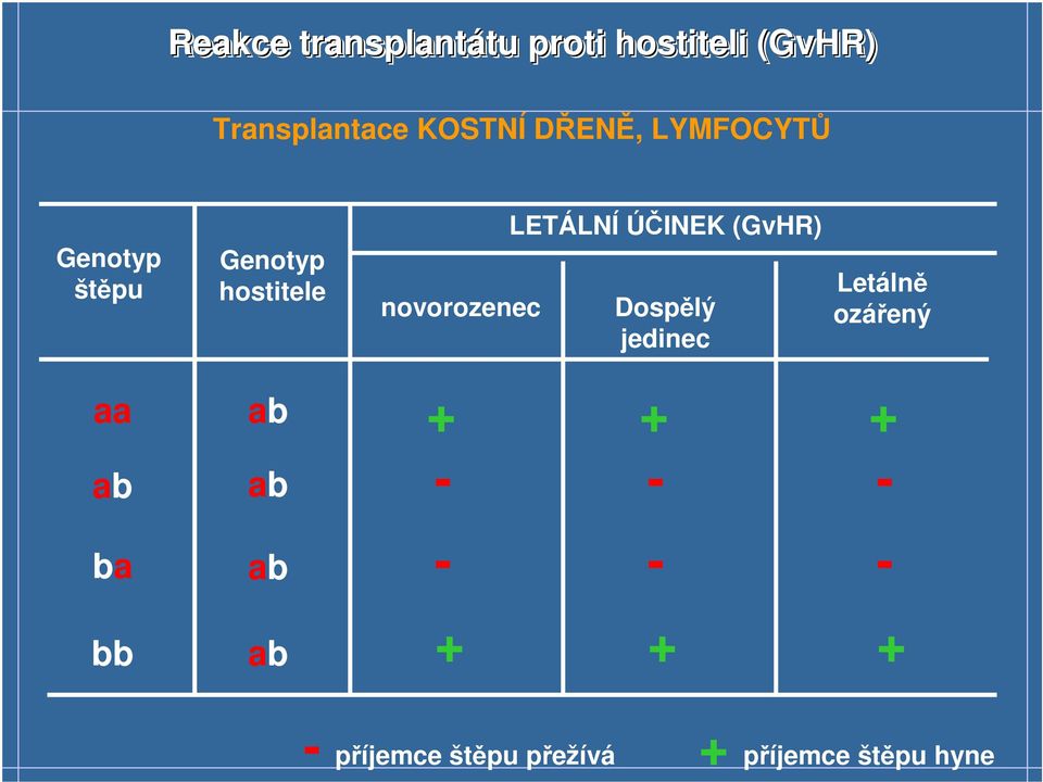 novorozenec LETÁLNÍ ÚČINEK (GvHR) Dospělý jedinec