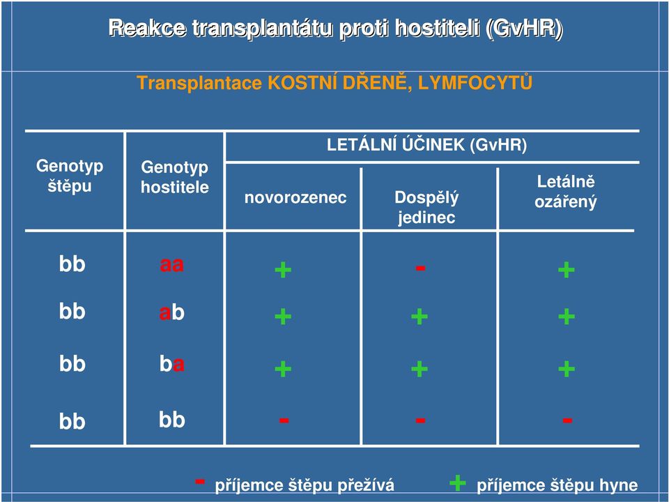 novorozenec LETÁLNÍ ÚČINEK (GvHR) Dospělý jedinec