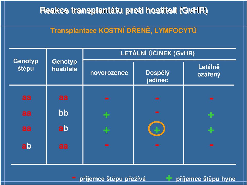 novorozenec LETÁLNÍ ÚČINEK (GvHR) Dospělý jedinec