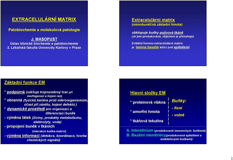 extracelulární matrix je lamina basalis ležící pod epiteliemi Základní funkce EM * podpůrná (udržuje trojrozměrný tvar při morfogenezi a hojení ran) * obranná (fyzická bariéra proti mikroorganismům,