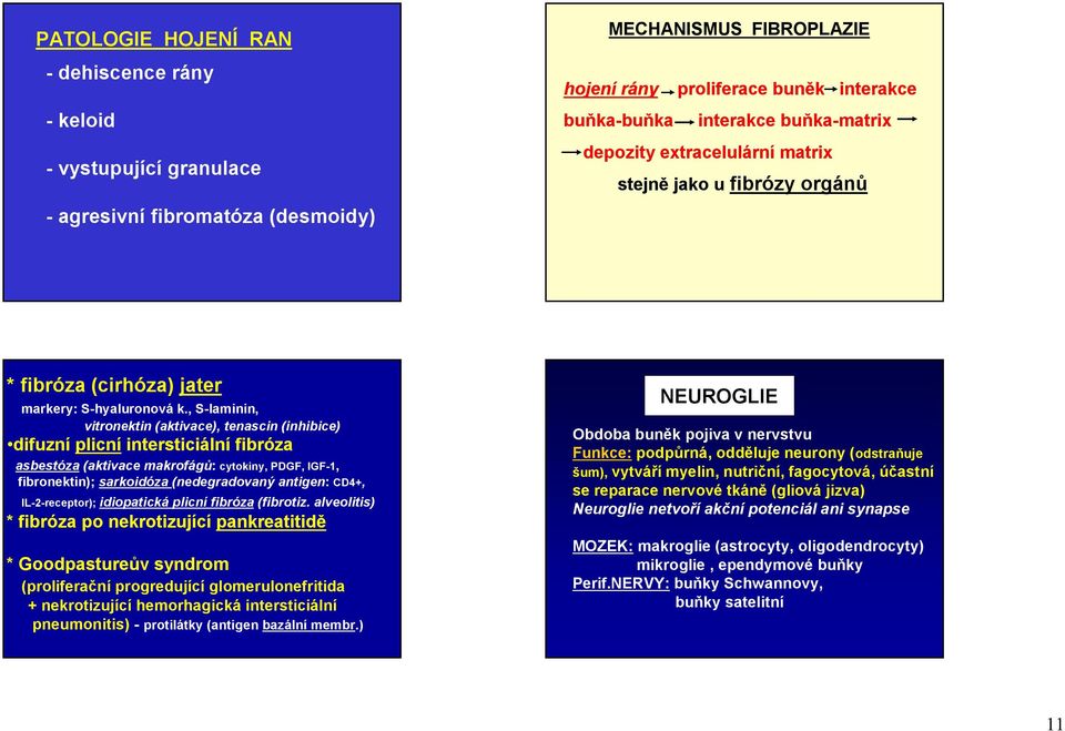 , S-laminin, vitronektin (aktivace), tenascin (inhibice) difuzní plicní intersticiální fibróza asbestóza (aktivace makrofágů: cytokiny, PDGF, IGF-1, fibronektin); sarkoidóza (nedegradovaný antigen: