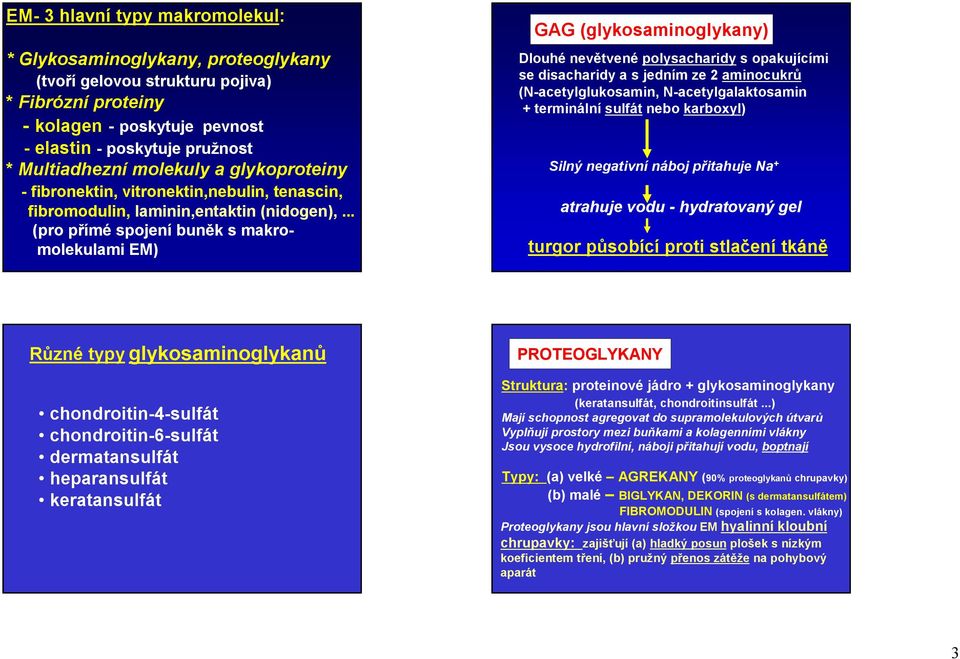 .. (pro přímé spojení buněk s makromolekulami EM) GAG (glykosaminoglykany) Dlouhé nevětvené polysacharidy s opakujícími se disacharidy a s jedním ze 2 aminocukrů (N-acetylglukosamin,