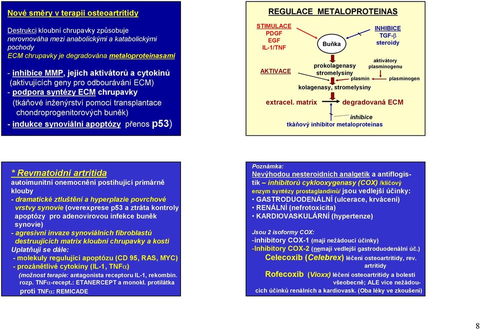 přenos p53) REGULACE METALOPROTEINAS STIMULACE PDGF EGF IL-1/TNF AKTIVACE extracel.