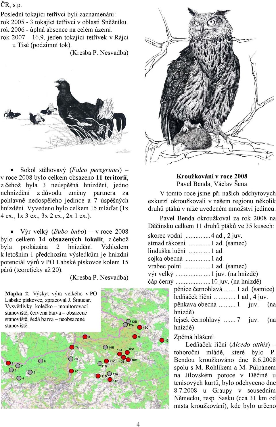 Nesvadba) Sokol stěhovavý (Falco peregrinus) v roce 2008 bylo celkem obsazeno 11 teritorií, z čehož byla 3 neúspěšná hnízdění, jedno nehnízdění z důvodu změny partnera za pohlavně nedospělého jedince